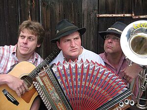 Drei Musiker mit Akkustik Gitarre, Akkordeon und Blasinstrument vor Holzwand