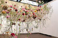 Flowers over and under a wooden net