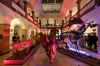 Paläontologisches Museum_Foto © Stephan Rumpf