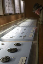 Lange Nacht der Münchner Museen 2024 Staatliche Münzsammlung